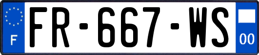FR-667-WS