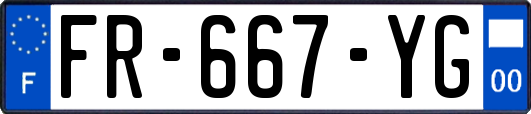 FR-667-YG