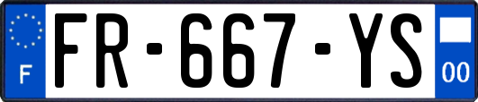 FR-667-YS