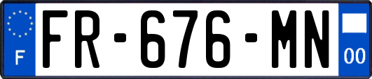 FR-676-MN