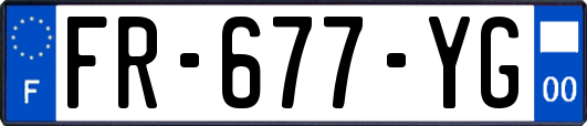 FR-677-YG