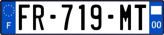 FR-719-MT
