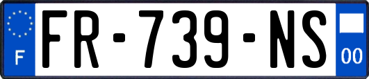 FR-739-NS