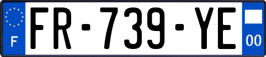 FR-739-YE