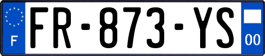 FR-873-YS