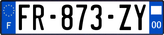 FR-873-ZY