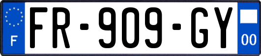 FR-909-GY