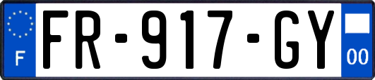 FR-917-GY