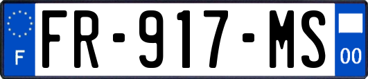 FR-917-MS