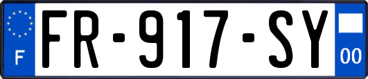 FR-917-SY