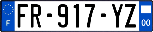 FR-917-YZ