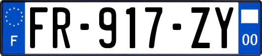 FR-917-ZY
