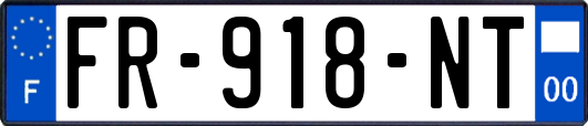FR-918-NT