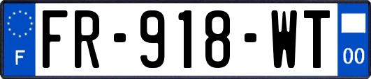 FR-918-WT