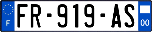FR-919-AS