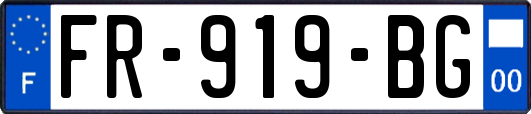 FR-919-BG