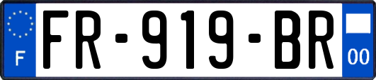 FR-919-BR