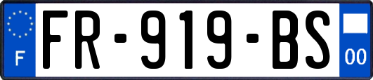FR-919-BS