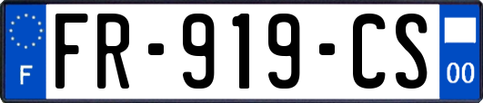 FR-919-CS
