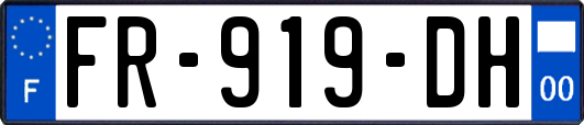FR-919-DH