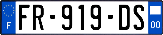 FR-919-DS