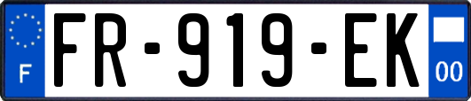 FR-919-EK