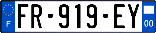 FR-919-EY