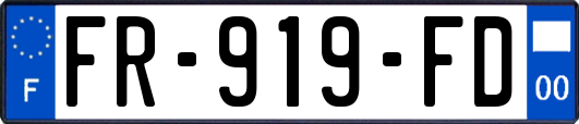 FR-919-FD
