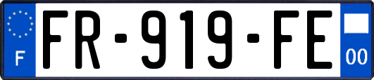 FR-919-FE
