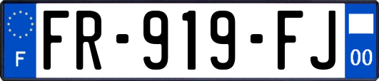 FR-919-FJ