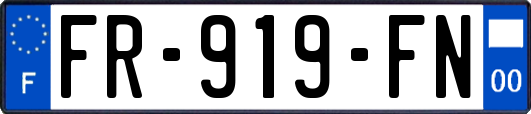 FR-919-FN