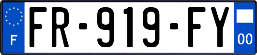 FR-919-FY