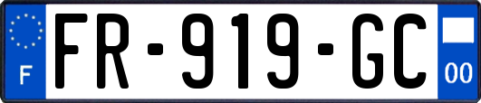 FR-919-GC
