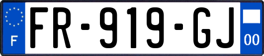 FR-919-GJ