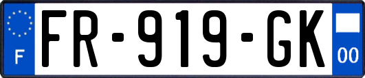 FR-919-GK