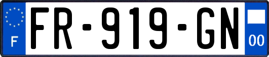 FR-919-GN