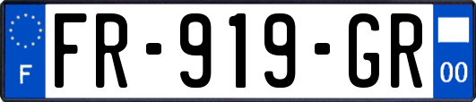 FR-919-GR