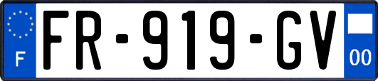 FR-919-GV