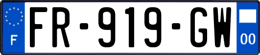 FR-919-GW