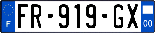 FR-919-GX