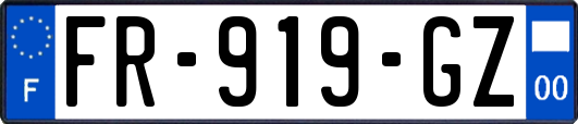 FR-919-GZ