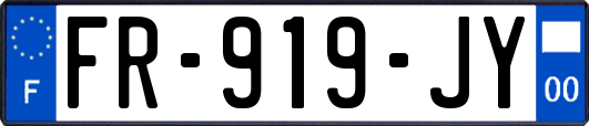FR-919-JY