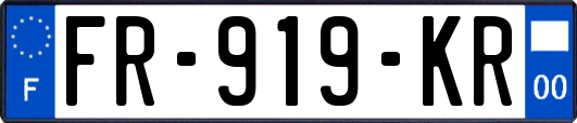 FR-919-KR