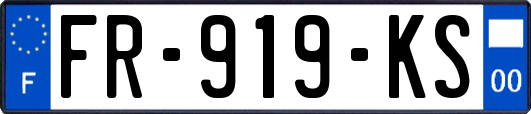 FR-919-KS