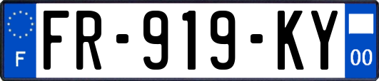 FR-919-KY