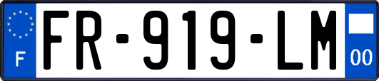 FR-919-LM