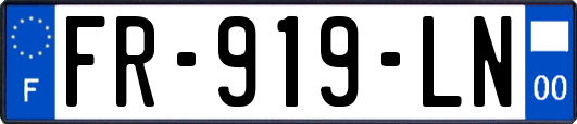 FR-919-LN