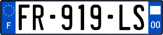 FR-919-LS