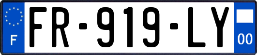FR-919-LY