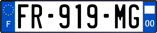 FR-919-MG